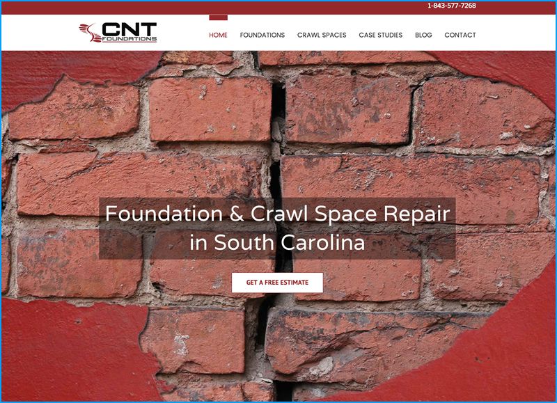 Website Design for CNT Foundations